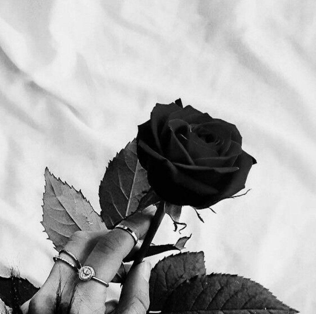 Amelia_nbo's tweet photo. หาคนเข้ากลุ่ม
ℬ BLACK ROSE ℬ
→มีแท็กให้เล่น
→เคารพกันและกัน เรียกมาสว่าซิส
→มีกฎในการอยู่ร่วมกัน
→ปรึกษากันได้ทุกเรื่อง เสมือนว่าคือครอบครัว
→นิสัยขี้ดอง ทุเรศ น่ารัก ก็มาได้
→รับเมจฝอและเมจศลป.
→คัดคนค่ะ

#rtลากเข้ากลุ่ม  #บอทโสด  #รีลากเข้ากลุ่ม #บอทเหงา #ยืมเมจforsex https://t.co/gJfbBAjI5A
