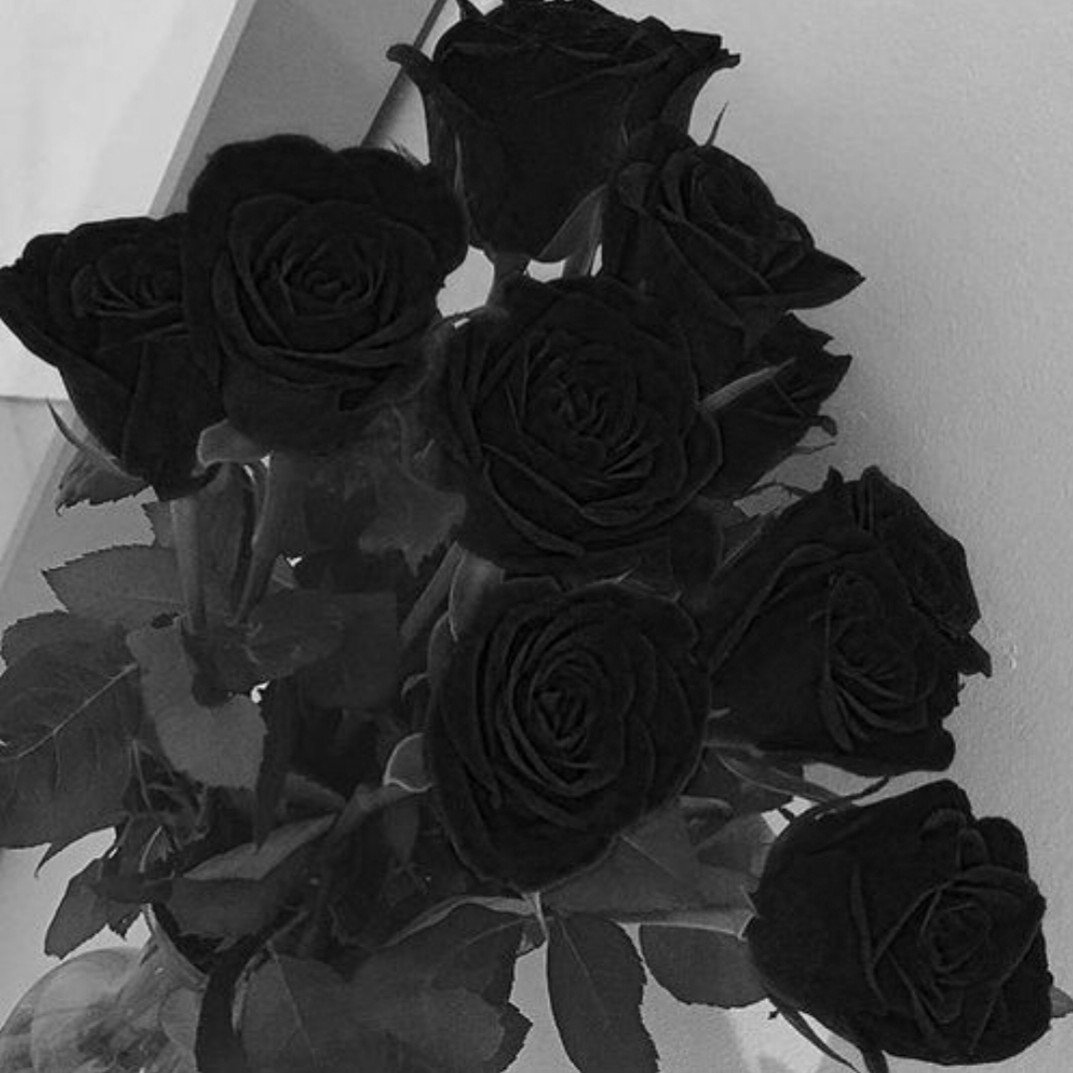 Amelia_nbo's tweet photo. หาคนเข้ากลุ่ม
ℬ BLACK ROSE ℬ
→มีแท็กให้เล่น
→เคารพกันและกัน เรียกมาสว่าซิส
→มีกฎในการอยู่ร่วมกัน
→ปรึกษากันได้ทุกเรื่อง เสมือนว่าคือครอบครัว
→นิสัยขี้ดอง ทุเรศ น่ารัก ก็มาได้
→รับเมจฝอและเมจศลป.
→คัดคนค่ะ

#rtลากเข้ากลุ่ม  #บอทโสด  #รีลากเข้ากลุ่ม #บอทเหงา #ยืมเมจforsex https://t.co/gJfbBAjI5A