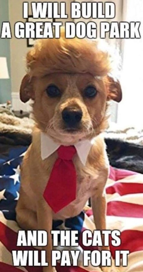 SeaIslandBlue's tweet photo. @therealkevinTE @smiller4002 We are #StrongerTogether #unwantedinvanka  #VoteBlueNoMatterWho2020 ReTweet Like Comment all #VerifyResisters #RockingTheVote2020 to end #CorruptGOP 💙🗳✊🏽💙✊🏽🗳Growing #’s to Grow our Voice United we stand Divided we fall #FBResistance #VoteBlueToSaveAmerica #CloseTheTRUMPcamps https://t.co/no37oIA9Fo