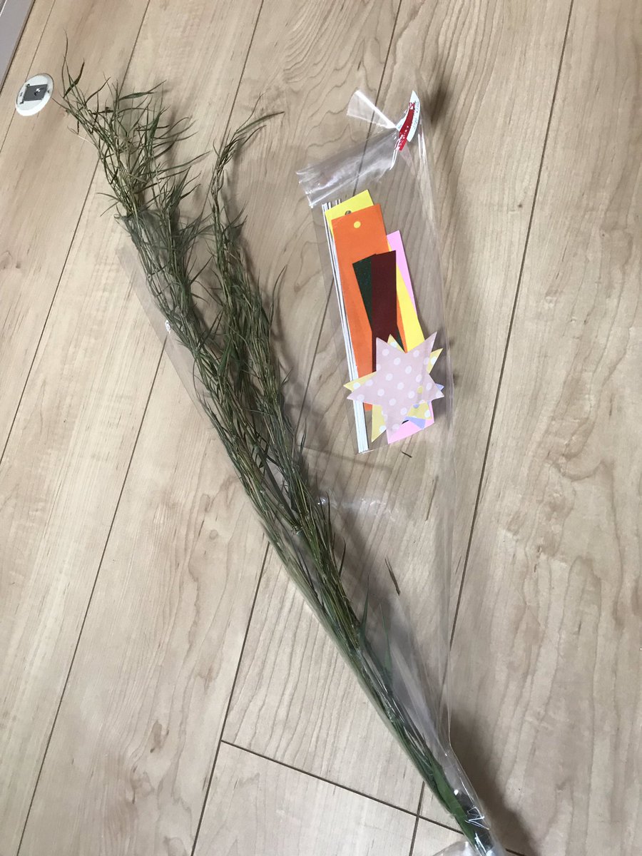 笹の葉どこで買える 七夕 ちまき 料理 採取や100均にあるかも調査 わくわく情報局 W