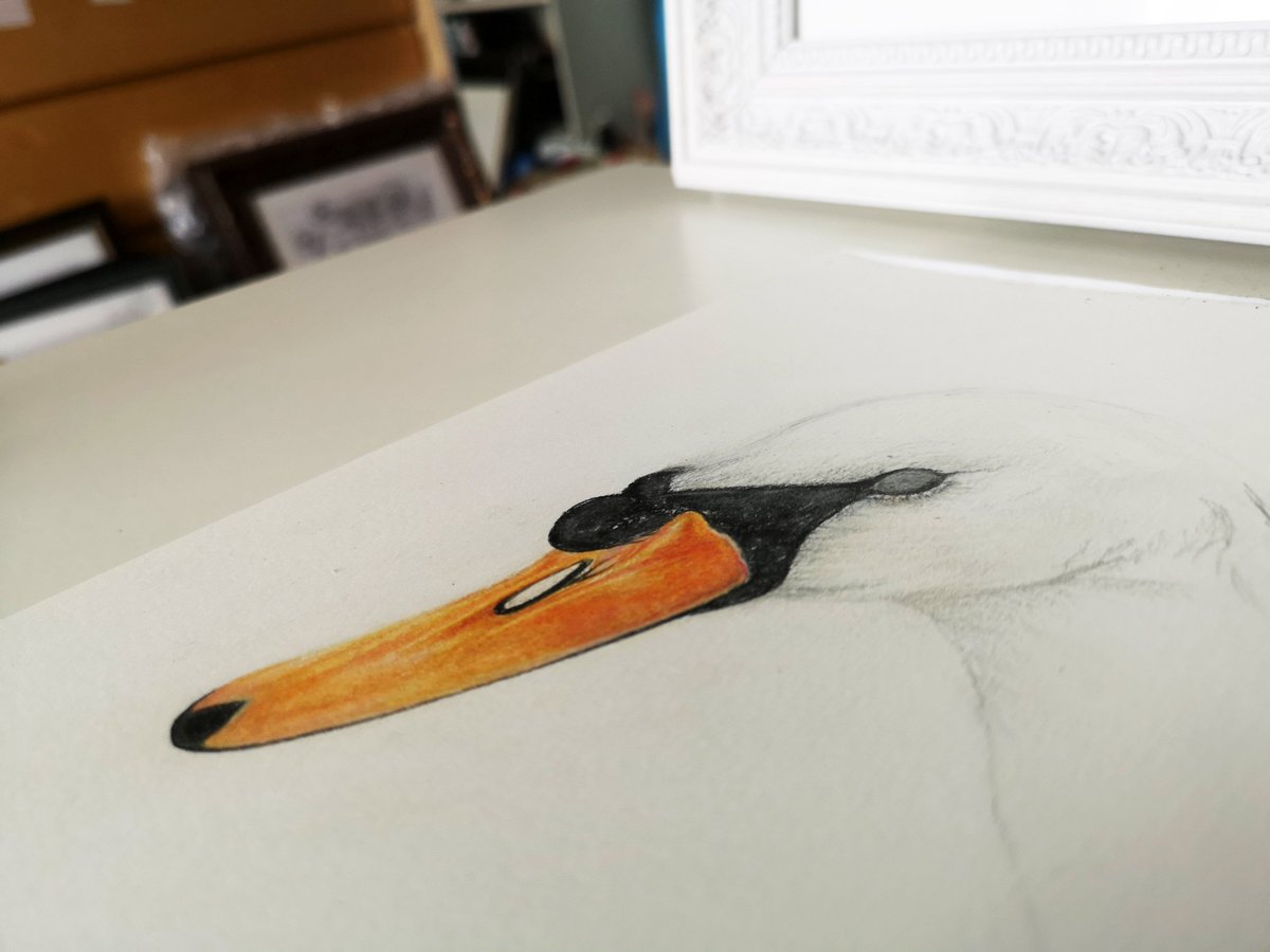 One of the things I touched on in my talk at <a href="/DACymru/">Disability Arts Cymru</a> yesterday was the pieces of work in Bipolarity exhibition at @thegatearts which challenge the problematic language of polarisation, questioning whether the term bipolar is sufficient by exploring the cycles inherent in this...