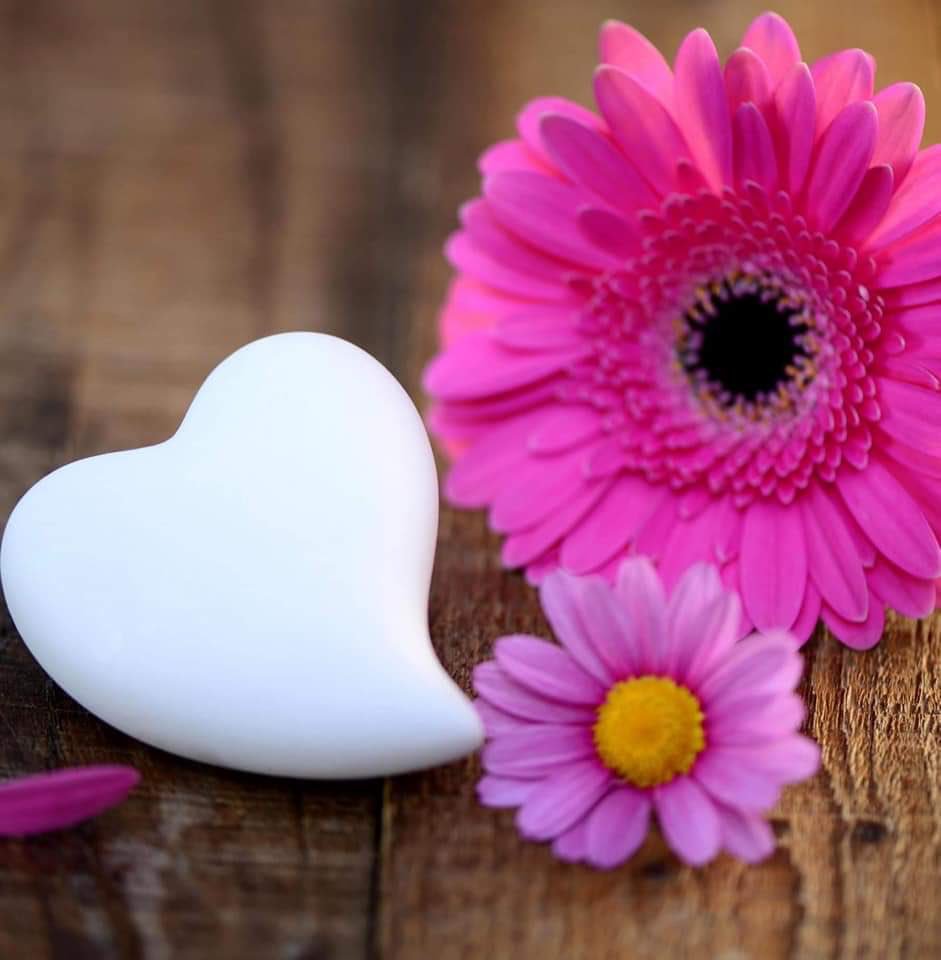 M__89s's tweet photo. @manbar_alharef_ @top_ve3 @to____mae @sahrizn @Basma_yassmin دمتم بود💖🍃 https://t.co/OPPRGKKuA1
