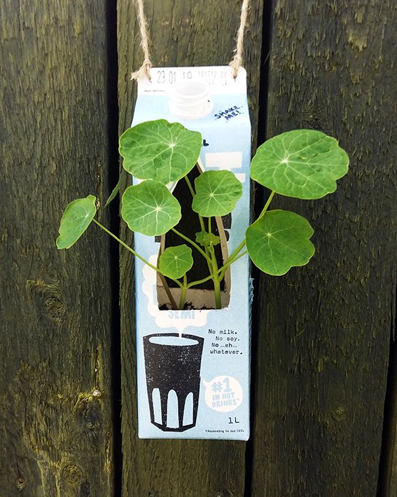 cardiffsquirrel's tweet photo. We have lots of useful workshops coming up this Autumn to help you waste less in your garden like composting and wormeries and seed saving! Tickets start from just £12 and we have a few comp spaces available too. https://t.co/9vQl72NJVT https://t.co/OkROJUJEnp