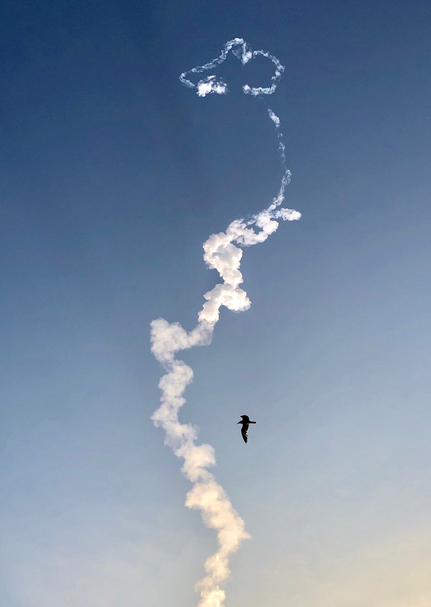 naomimgruer's tweet photo. Heart-Shaped Rocket Plume! Awesome experience watching the launch π! #aa2app @nasa #teammercury #millburnhighschool #capecanaveral https://t.co/Jh9ycqNwEa