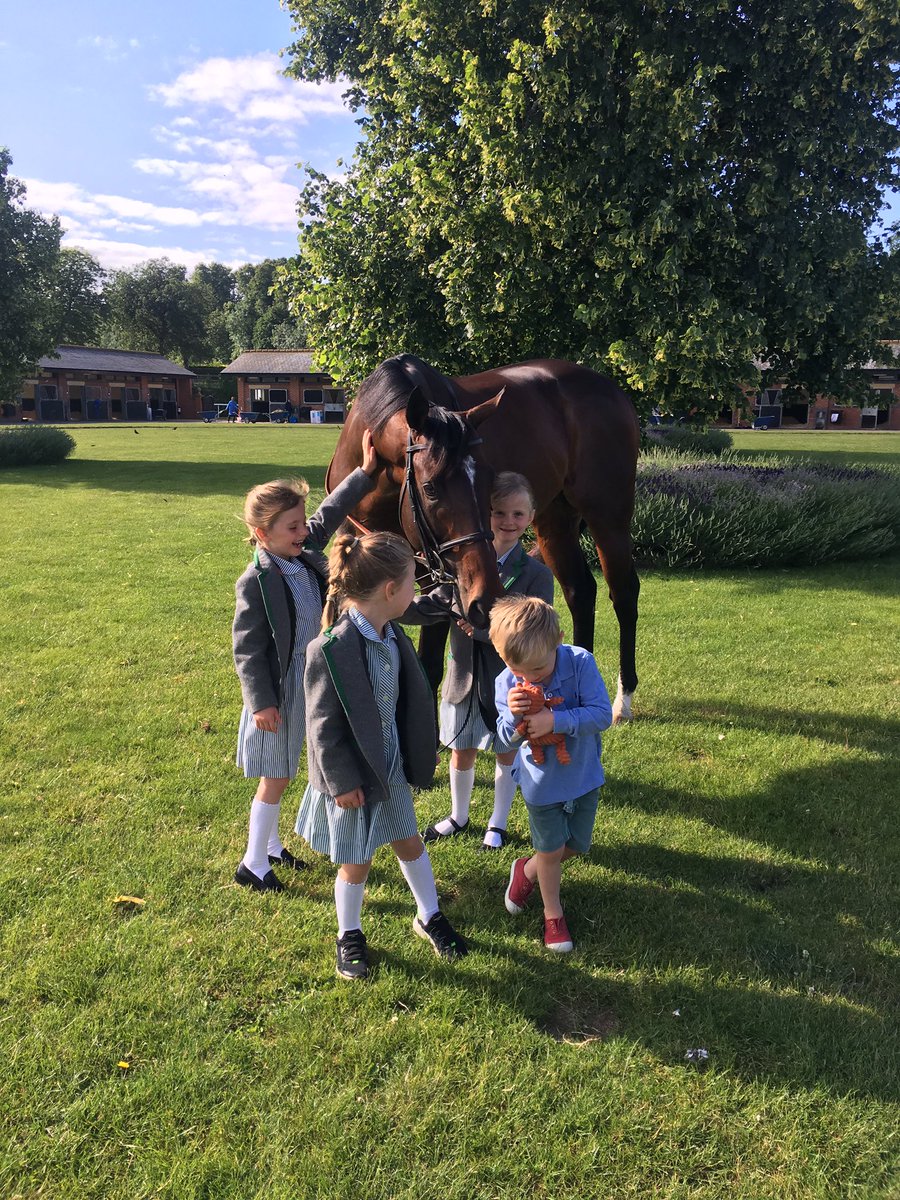 AisAppleby's tweet photo. The kids came to say goodbye to Bluey this morning - what a Legend 😍- he even tried to nudge a laugh out of Sean 🙈 @theapp75  #BluePoint #Godolphin @the_doyler1 @williambuick_official https://t.co/v7pRIQYxqY