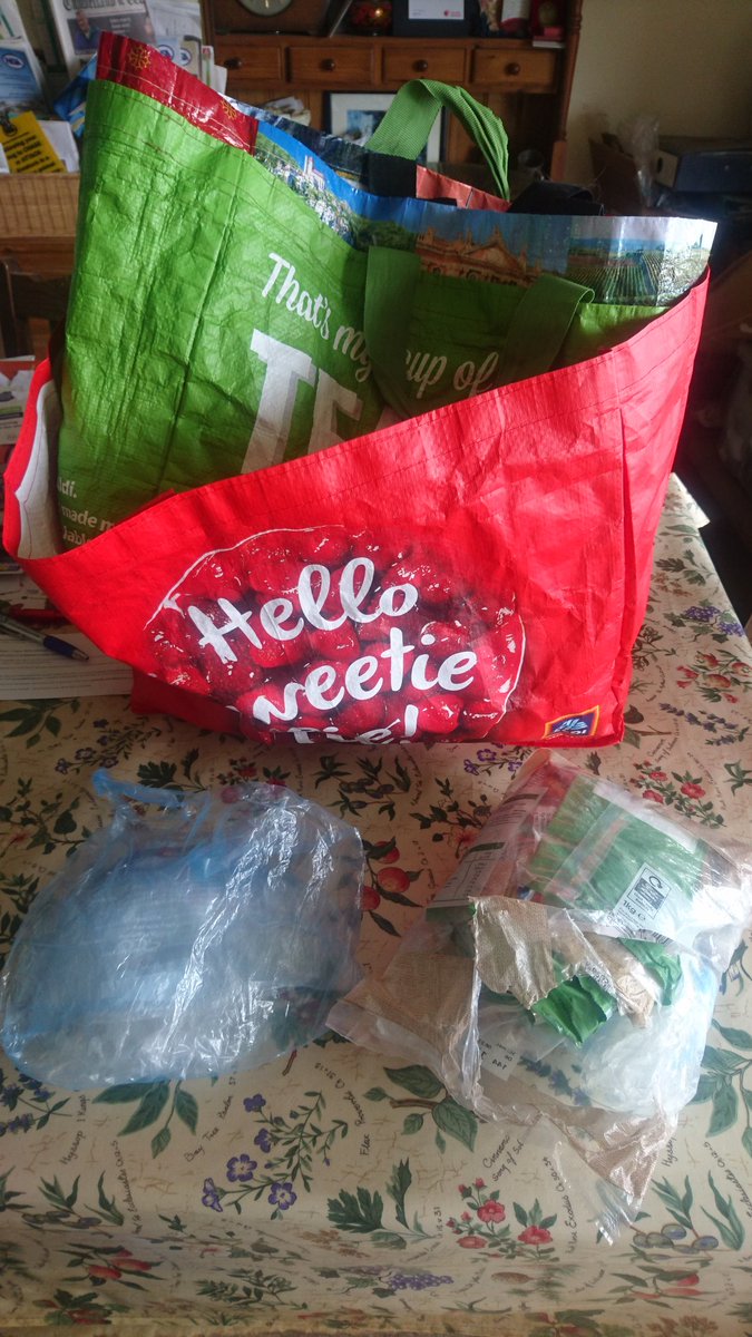 frozen food carrier bags