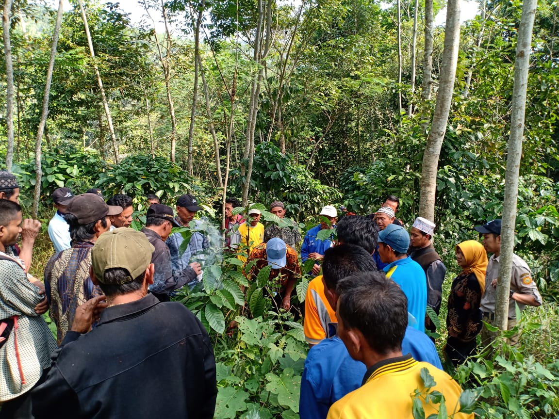 KabPlp's tweet photo. @KabPlp pendampingan pengolahan hasil perkebunan komoditas kopi mari kita sukseskan perkebunan Desa palugon kec. Wanareja kab Cilacap jawa tengah @fkp2indonesia @han_nugh https://t.co/05PDqXJjL9