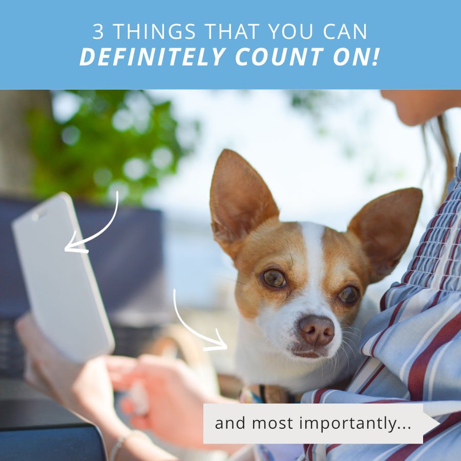 WPlenish's tweet photo. There are some certainties in life you can always count on:
Your dog will always be happy to see you.
You'll never have to get dressed to shop as long as you have WiFi.
You'll never run out of coffee if you have a WePlenish Java.
https://t.co/XOk1ARzFmo
#neverrunout #weplenish https://t.co/uuwPWf5I5O