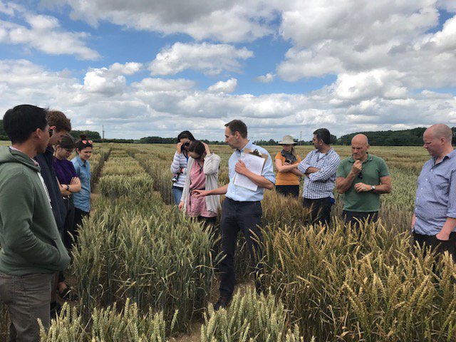 Alison Bentley tweet media