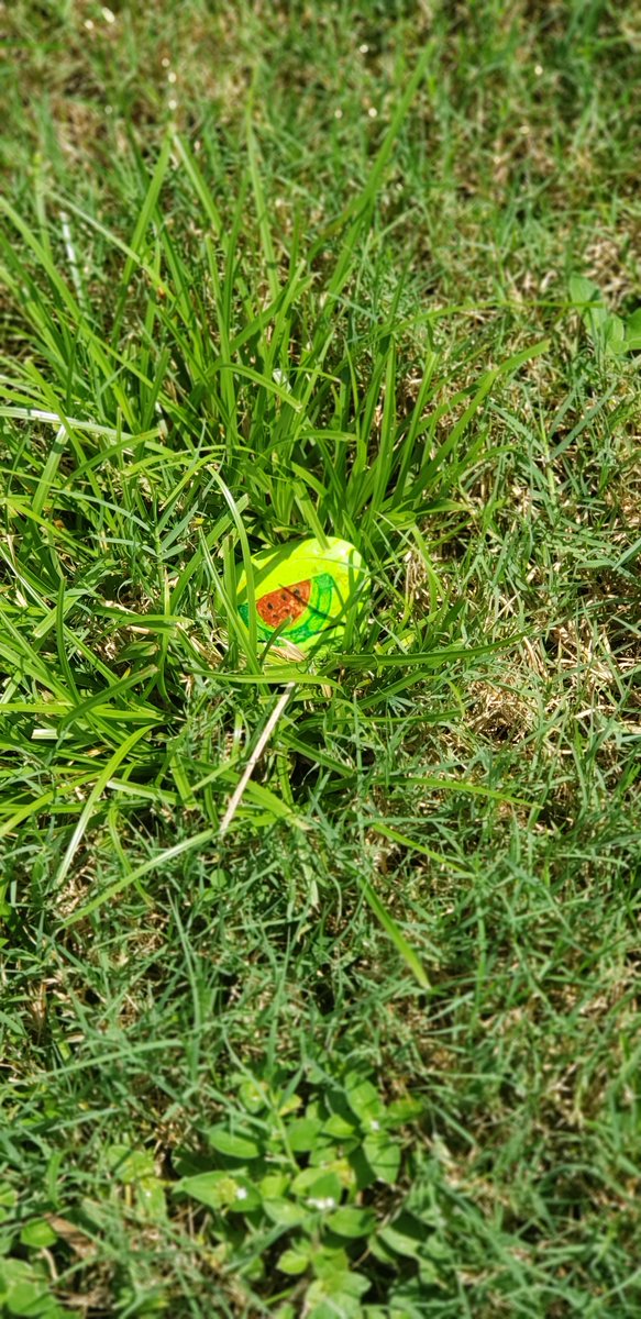 MarionParksRec's tweet photo. Did you know that "rocking" is a popular past time in Marion County? In the spirit of National Parks &amp; Recreation Month, we have hidden these bright green rocks all throughout our parks. On the back is #GameOnMarion, if you find one, bring to our main office for a prize! https://t.co/llEn58hTD5