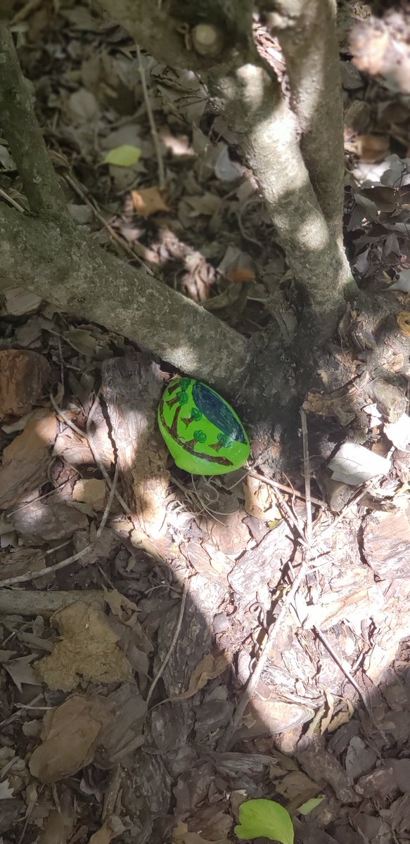 MarionParksRec's tweet photo. Did you know that "rocking" is a popular past time in Marion County? In the spirit of National Parks &amp; Recreation Month, we have hidden these bright green rocks all throughout our parks. On the back is #GameOnMarion, if you find one, bring to our main office for a prize! https://t.co/llEn58hTD5