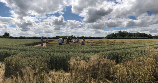 Alison Bentley tweet media