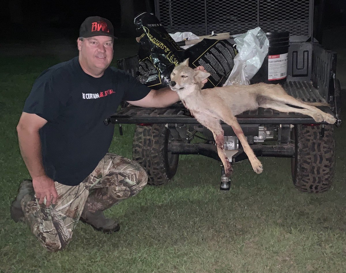 BackwoodsLife's tweet image. Trey doing some predator control last night! Save a fawn shoot a yote!

#TuesdayMotivation #backwoodslife #predatorcontrol