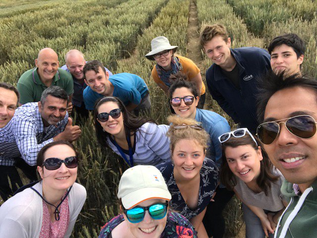 Alison Bentley tweet media