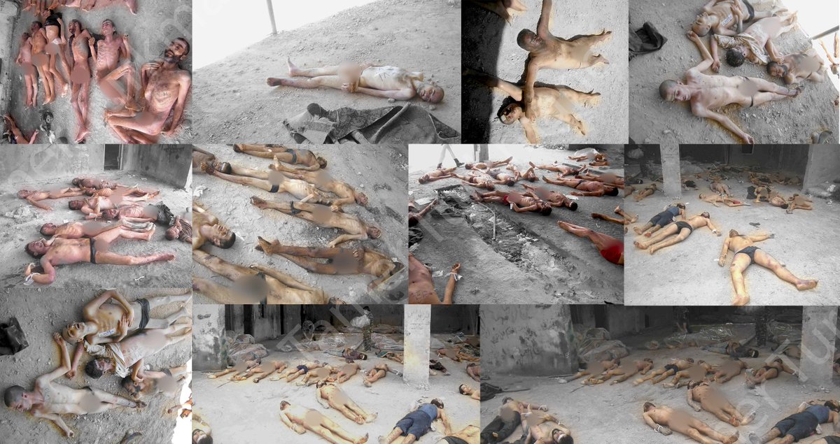 Tamer_Turkmane's tweet photo. يوجد مايقارب ربع مليون شخص لانعرف مصيرهم
ومن الممكن أن يكون مصيرهم كمصير رحاب ورفاقها

#أنقذوا_المعتقلين
#سجون_الأسد_مسالخ_بشرية https://t.co/dgznprw9PV