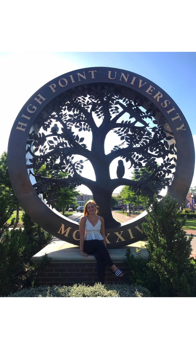 LTU Careers+Placements tweet media