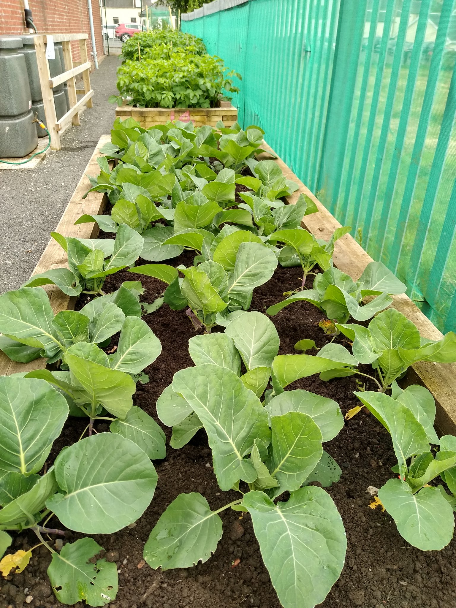 Lisa McVey 🤩 (Lisa_mcvey) / Twitter