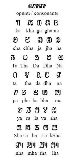 The mother tongue of Saurashtrians is Saurashtra a dialect of Gujarati with the amalgamation of present-day Sanskrit, Hindi, Marathi, Konkani, Kannada, Telugu & Tamil but all of them are bilingual and can speak either Tamil or Telugu or one of the local languages.