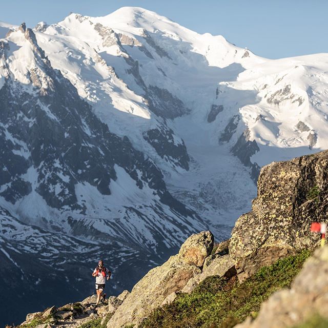 David Gonthier tweet media