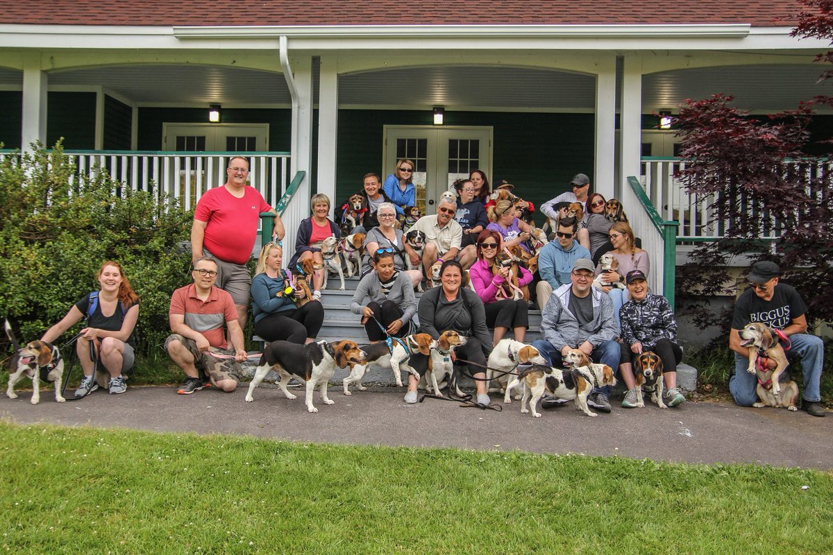 BeaglePaws's tweet photo. Meetup going ahead tonight! Aiming for 100 Beagles!! by far the largest ever! Bring toonies and loonies in support of @building4bgles First 50 dogs get loot bags @PetPlanetHealth Meet at gravel parking lot at Bowring Park at 6:45 pm.@StJohnsTelegram  @CBCNL @VOCMNEWS @NTVNewsNL https://t.co/eo8BU2idBK
