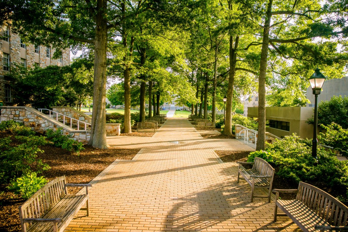 MSMUAlumni's tweet photo. Remember how you felt when you came back to school? Move-in can be nervous for students, new and returning alike. Send a positive note with our #MountMoveIn campaign! Tag us, tweet us, or submit the form (link in bio) with your note of 180 characters or less. https://t.co/7p0oWOGrwl