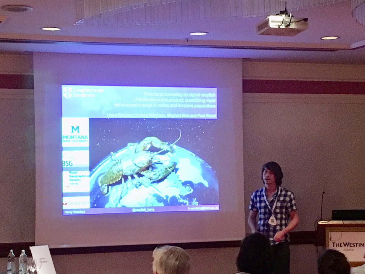 VadherAtish's tweet photo. A very enjoyable talk by @crayfish_harry quantifying the amount of sediment moved by a crayfish, a Tyrannosaurus rex and Godzilla. Crayfish win! @StephenRice15 #SEFS2019 #SEFS11 https://t.co/XewPFLuc19