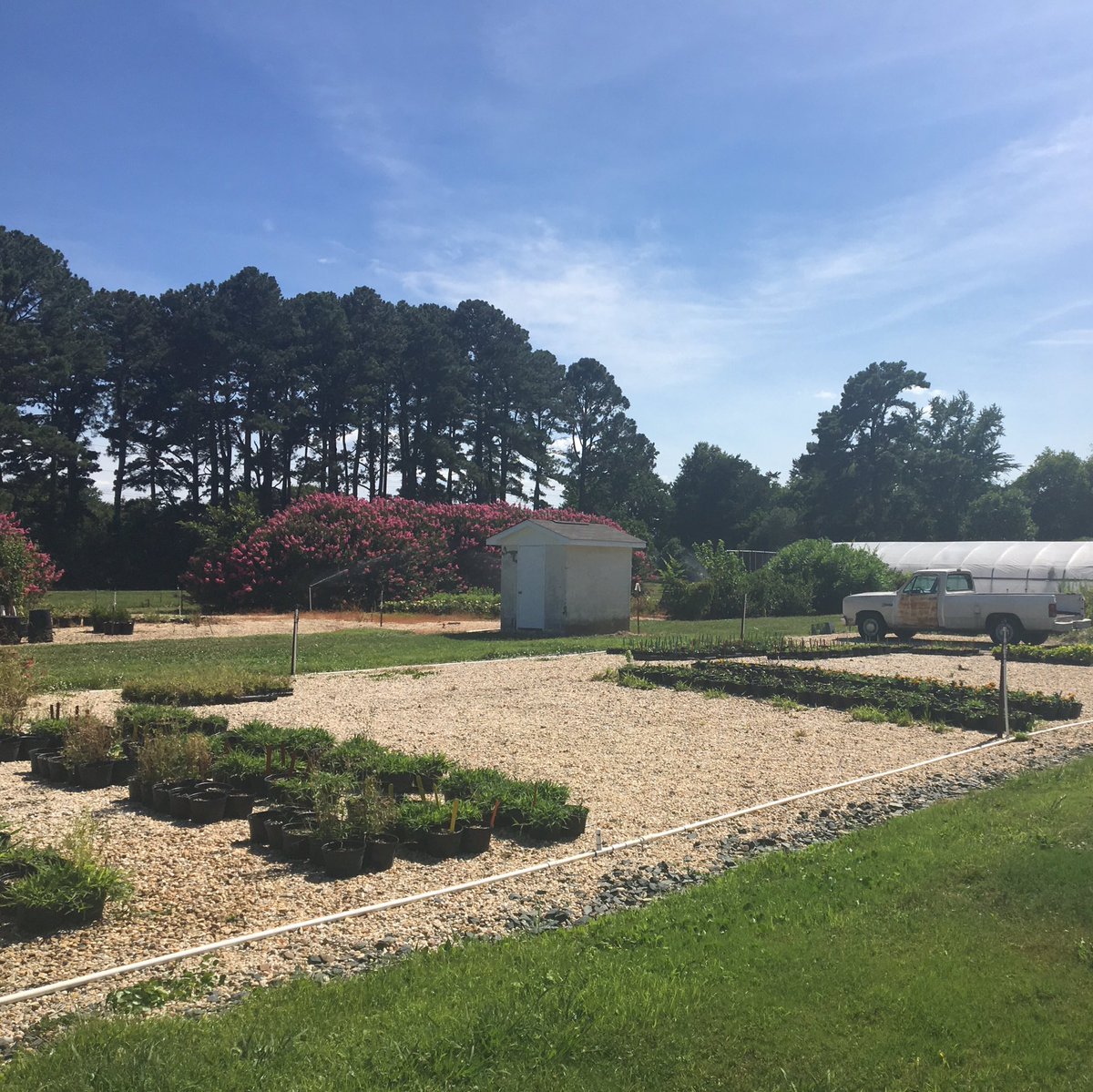 SecuringOurFood's tweet photo. Day 1 of the #ARECTour finished at #HamptonRoadsAREC 🚌 We saw blackberries, kiwis 🥝, turfgrass & the amazing Hampton Roads gardens 🌹💐🌺 Great to hear all the research & extension going on 👩🌾👨🔬#SecuringOurFood #NIFAimpacts #REEU #VTREEL https://t.co/uNJpBmiJ0L
