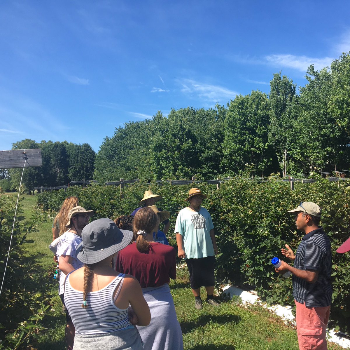 SecuringOurFood's tweet photo. Day 1 of the #ARECTour finished at #HamptonRoadsAREC 🚌 We saw blackberries, kiwis 🥝, turfgrass & the amazing Hampton Roads gardens 🌹💐🌺 Great to hear all the research & extension going on 👩🌾👨🔬#SecuringOurFood #NIFAimpacts #REEU #VTREEL https://t.co/uNJpBmiJ0L
