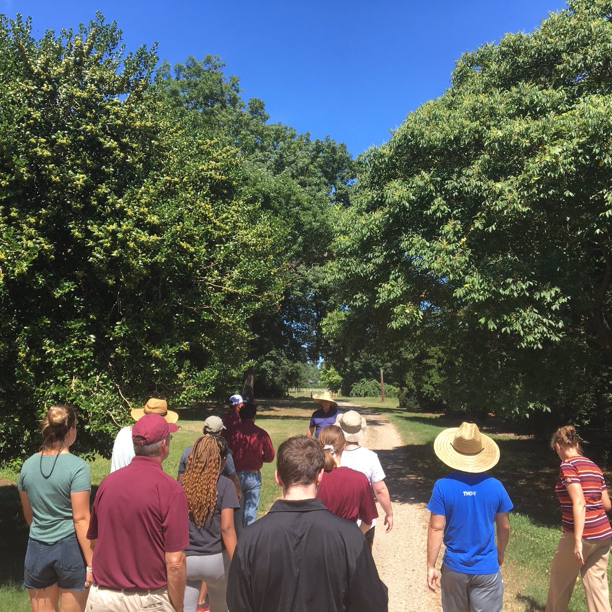 SecuringOurFood's tweet photo. Day 1 of the #ARECTour finished at #HamptonRoadsAREC 🚌 We saw blackberries, kiwis 🥝, turfgrass & the amazing Hampton Roads gardens 🌹💐🌺 Great to hear all the research & extension going on 👩🌾👨🔬#SecuringOurFood #NIFAimpacts #REEU #VTREEL https://t.co/uNJpBmiJ0L