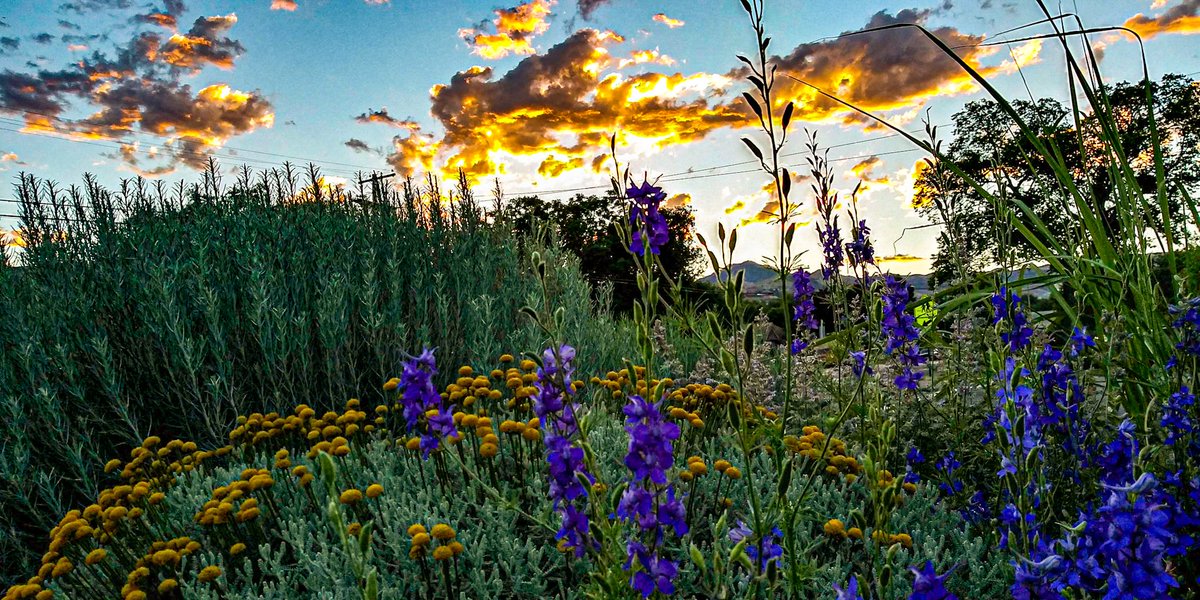 I took a #beautiful and #gorgeous #photo just outside of #saltlakecity #Utah this morning as the #sunrise hit the #clouds with this amazing and vibrant orange glow, A great Tuesday is in store <a href="/kslweather/">KSL Weather</a> #goodmorning