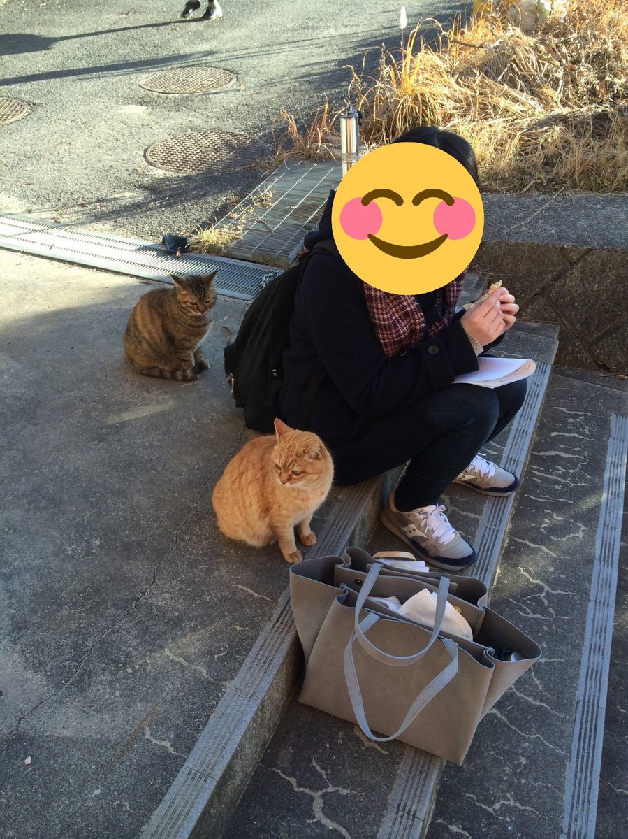 私のいた大学にはお猫様が住み着いてて、雪の日に彼らの居住区域に踏み込むと鳴きながら寄ってくるんだよ…(画像は博多通りもんを食べている私をガン見する猫と、私が振り向くと同時に素知らぬ顔する猫です) 