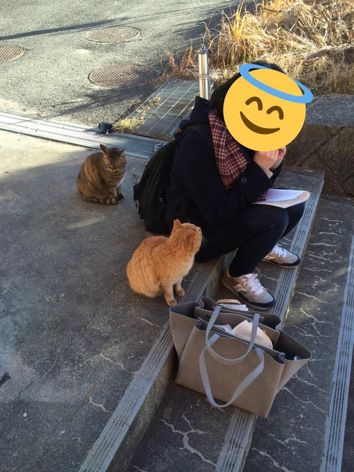 私のいた大学にはお猫様が住み着いてて、雪の日に彼らの居住区域に踏み込むと鳴きながら寄ってくるんだよ…(画像は博多通りもんを食べている私をガン見する猫と、私が振り向くと同時に素知らぬ顔する猫です) 