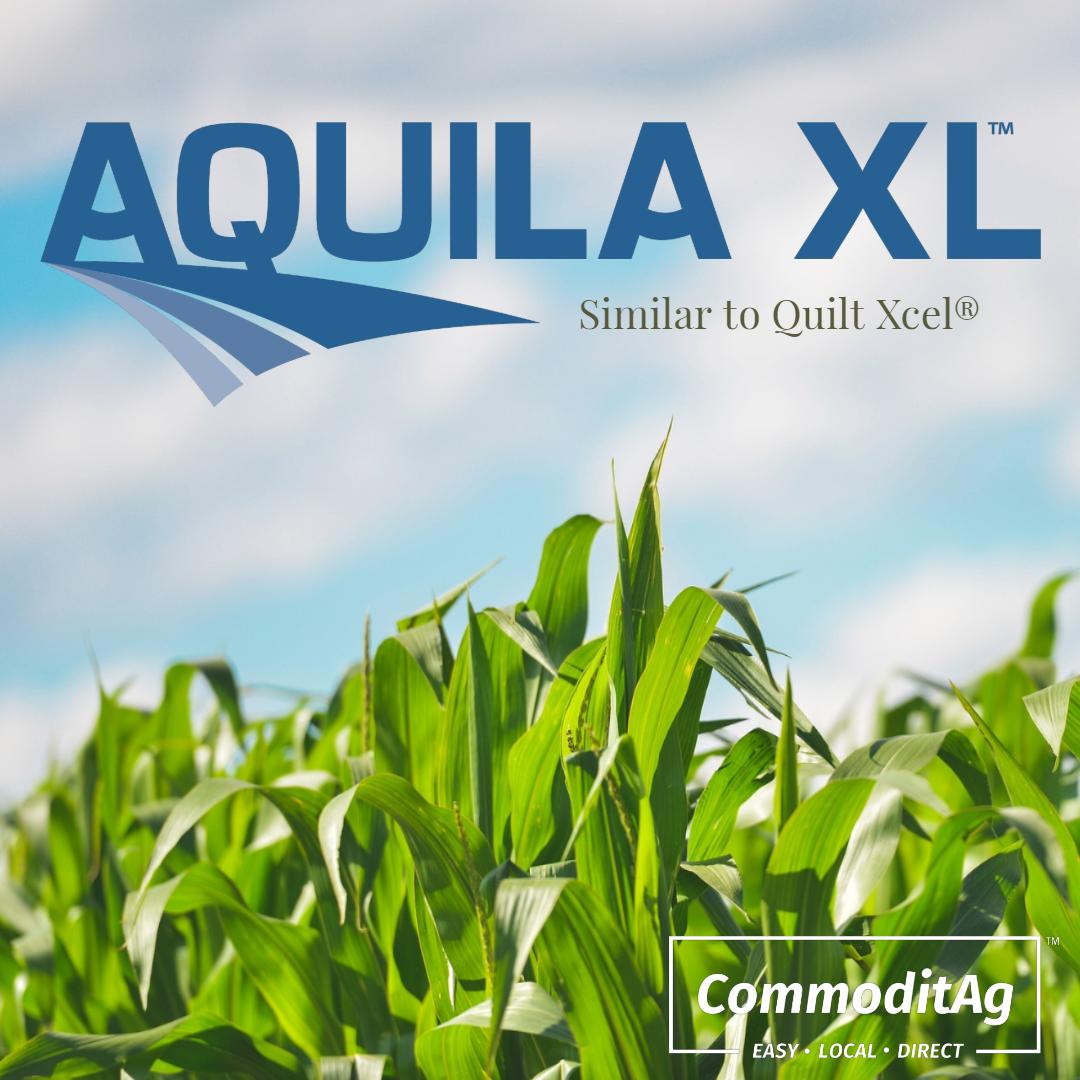 commoditag's tweet photo. Check out our low cost fungicides options at https://t.co/oRpPEOJMQn
Aquila XL: Azoxystrobin + Propiconazole (Similar to Quilt Xcel®)
#Agriculture #Fungicides #InstaAg #Farming #Farmer #Plant19 https://t.co/UX7K6i2JE8