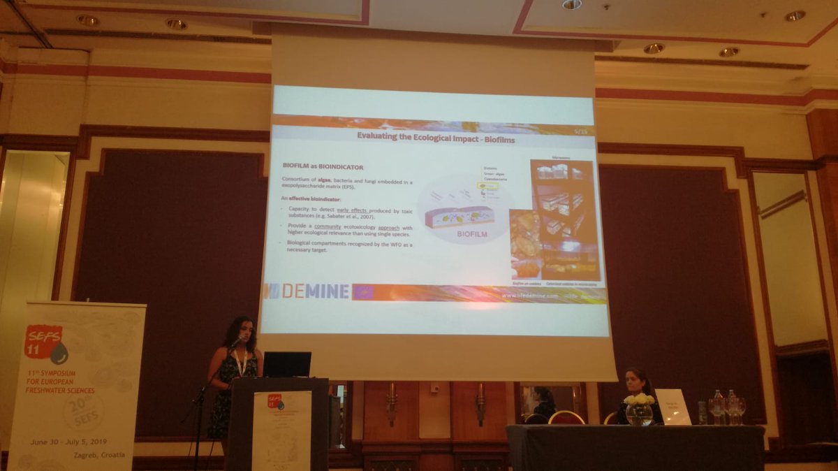 BETA_TechCentre's tweet photo. ⏩ In #Zagreb, time for @lidiavendrell to talk about @life_demine and the #environmental impacts of hypersaline effluents from abandoned mines. 🏞️✔️

#SEFS11 #SEFS2019 https://t.co/o1JjWpyyzQ