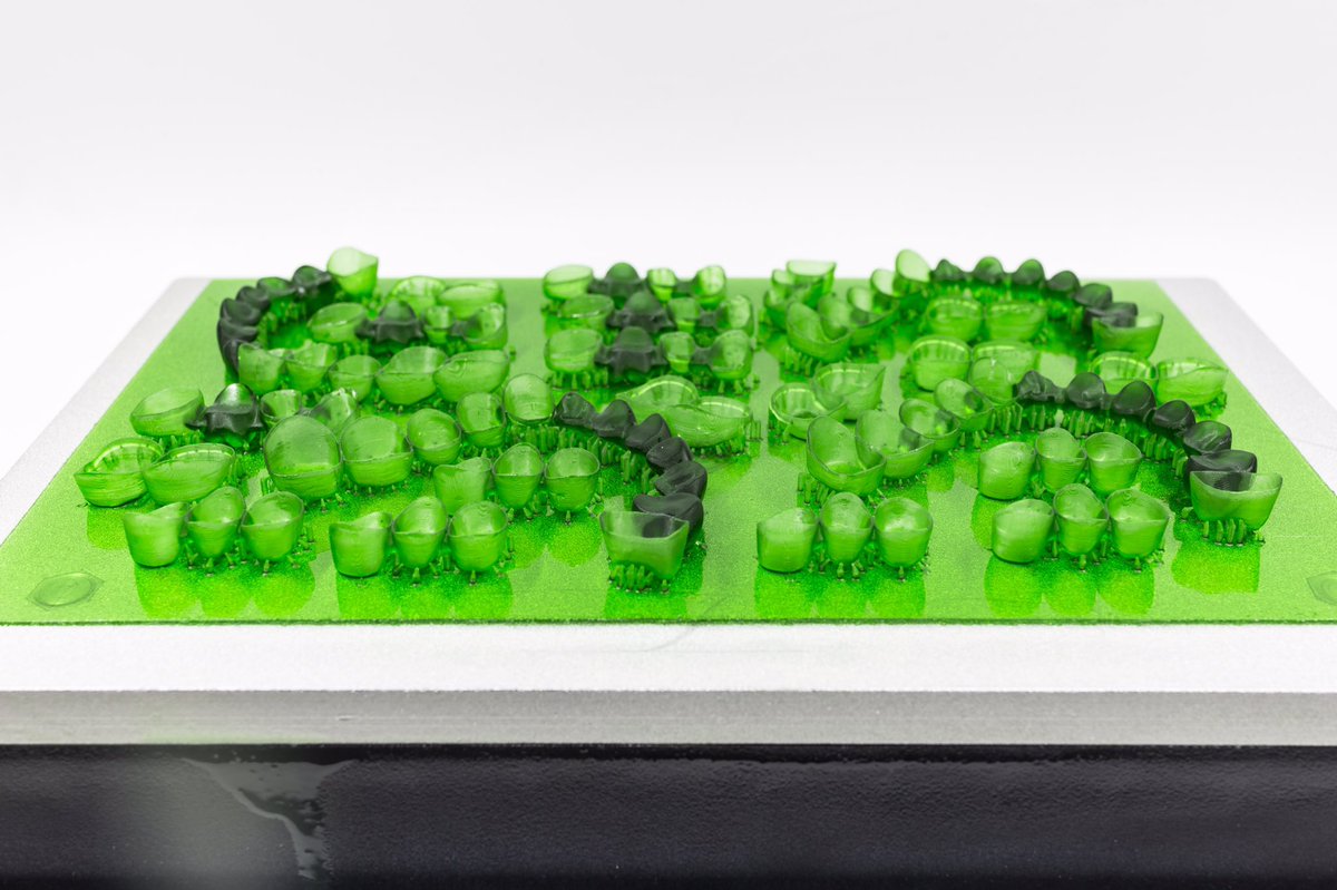 flashforge_jp's tweet photo. Explorer MAX
プリントサンプル2
#ExplorerMAX #Flashforge #3dプリンター #光造形 https://t.co/ZDmfAyzPcU