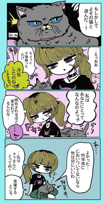 飼い猫と飼い主 