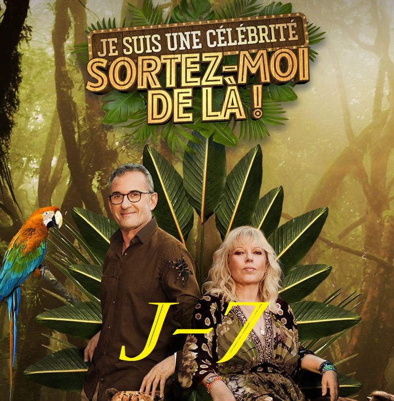 NicolasLlopis's tweet photo. #SortezMoiDeLà Les 11 célébrités sortent de leur zone de confort pour le bien d’associations ! Nous sommes à j-7 
=> A noter dans son agenda :📅  RDV mardi 9/07 sur @TF1
#celebrités #Solidarité #Association #AventureUnique #EspritDEquipe #AfriqueDuSud #EpreuvesSpectaculaires https://t.co/FLGLsRclI2