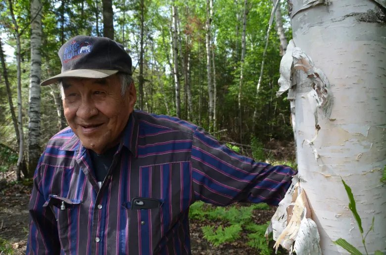 GMWatch's tweet photo. The govt did not consult First Nations living along the North Shore of Lake Huron before it began spraying #glyphosate  on their forests https://t.co/NedjkcXlbV Owl says his group is planning to file a lawsuit against Canada for violating the Robinson-Huron Treaty. #Indigenous https://t.co/9BOduPBcmi