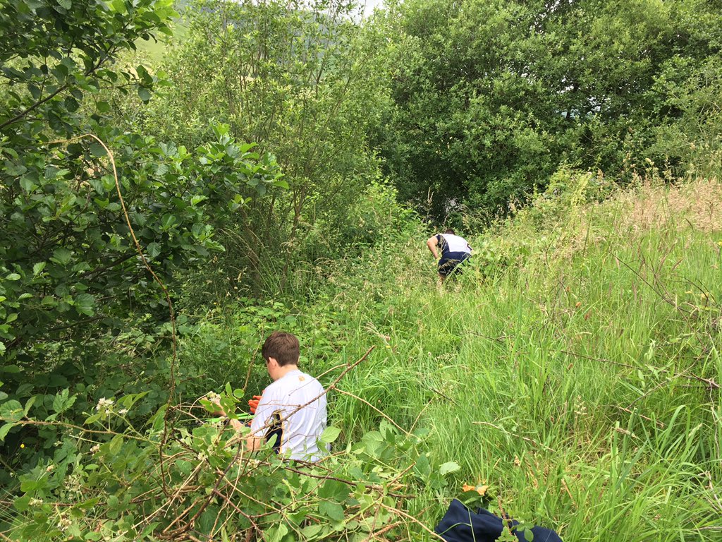 SedberghLecture's tweet image. Students working hard at Cautley Picnic area. #SedberghChallenge  #SedberghGivesBack