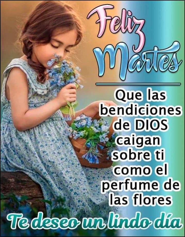 Violeta on Twitter: "Feliz martes para tod@s...… "