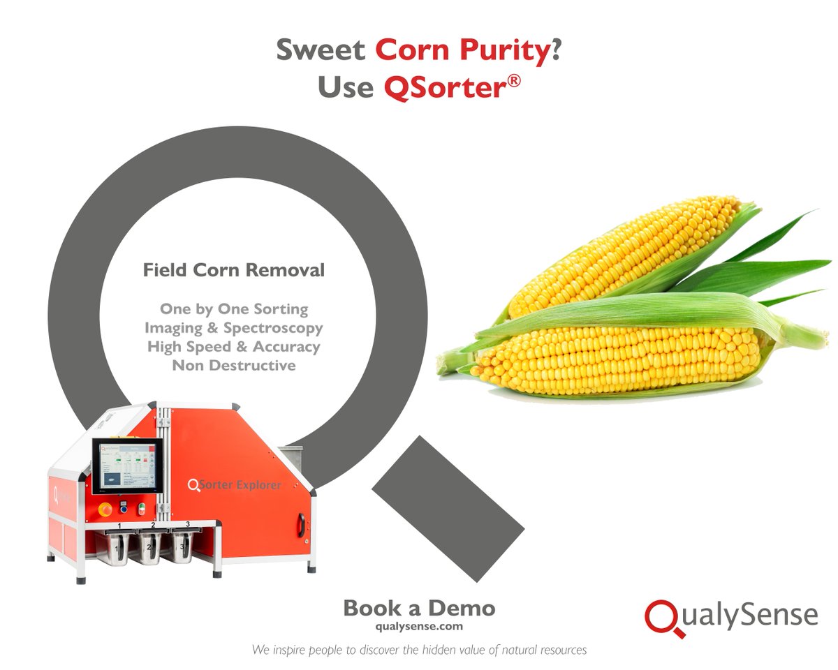 QualySense's tweet photo. Experiencing Low #Purity in #SweetCorn? Adopt the #QSorter® Robots to Eliminate Field Corn Contamination and Realize Your Profits. For more information visit our website https://t.co/Tl1OYdnVf7 https://t.co/Tt3I8SbJlH