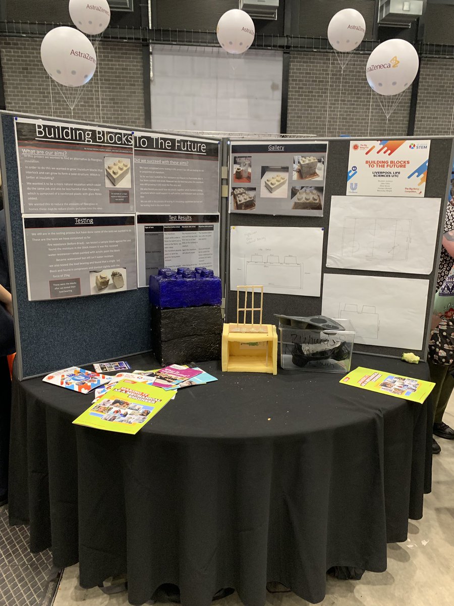 ShapingFutures_'s tweet photo. One of the things we’ve enjoyed most about #bbnw today is speaking to the incredible young people here representing their student projects! All of these brilliant presentations are from students at @LifeSciencesUTC @allaboutstem #scientistsofthefuture https://t.co/4Yz3ex2NcM