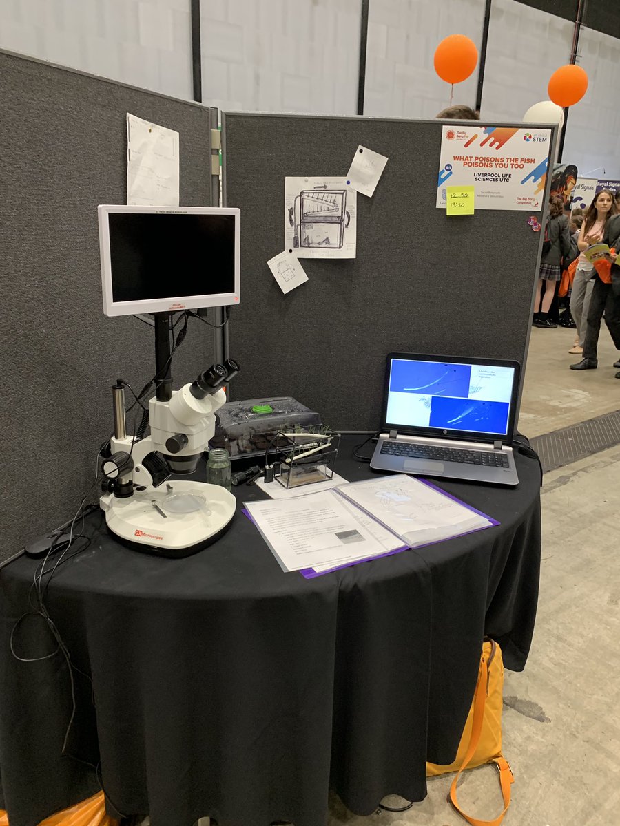 ShapingFutures_'s tweet photo. One of the things we’ve enjoyed most about #bbnw today is speaking to the incredible young people here representing their student projects! All of these brilliant presentations are from students at @LifeSciencesUTC @allaboutstem #scientistsofthefuture https://t.co/4Yz3ex2NcM