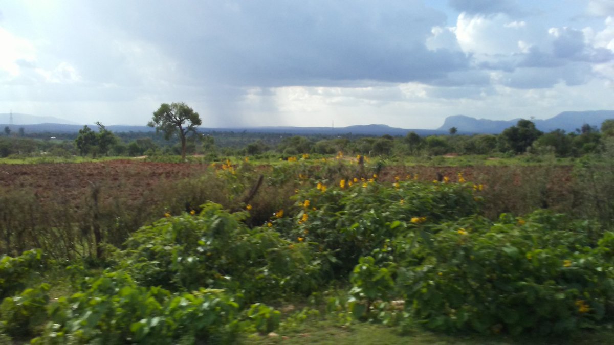 KatyAppletonUEA's tweet photo. We're down into the rift valley now, less than 1hr to go (hopefully) #envkenya19 #stillgotdata https://t.co/NMLaa5pFHx
