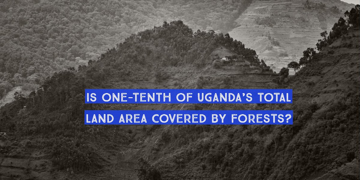 ArthurKakande's tweet image. According to a recent article published on the New Vision Website (@newvisionwire), forest cover in Uganda reduced from 24% in 1990 to 10% currently. Is this true? @PesaCheck investigated this here pesacheck.org/is-one-tenth-o…