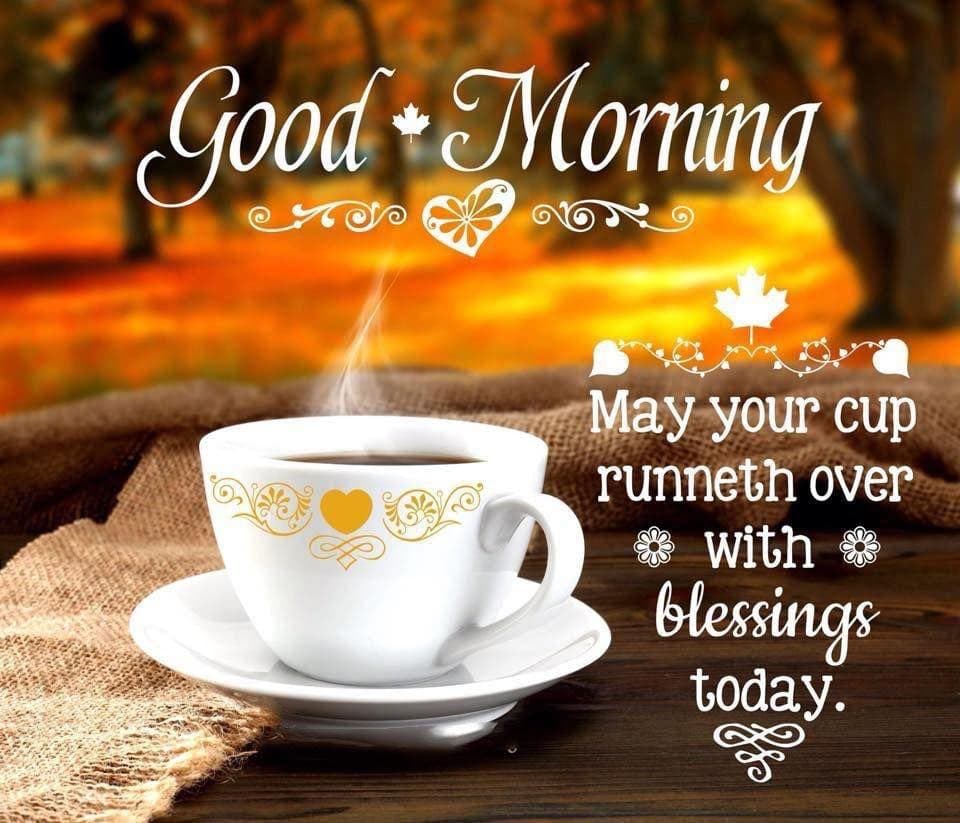 FaithLefort1's tweet photo. https://t.co/jsi804MSLy
