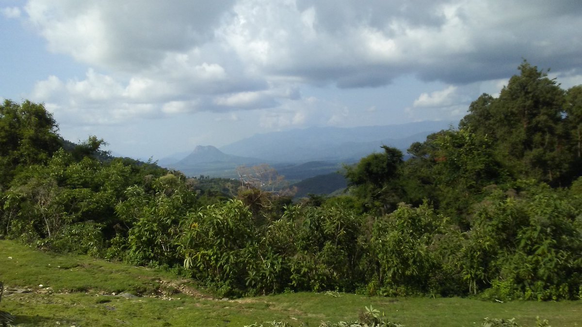 KatyAppletonUEA's tweet photo. We're down into the rift valley now, less than 1hr to go (hopefully) #envkenya19 #stillgotdata https://t.co/NMLaa5pFHx