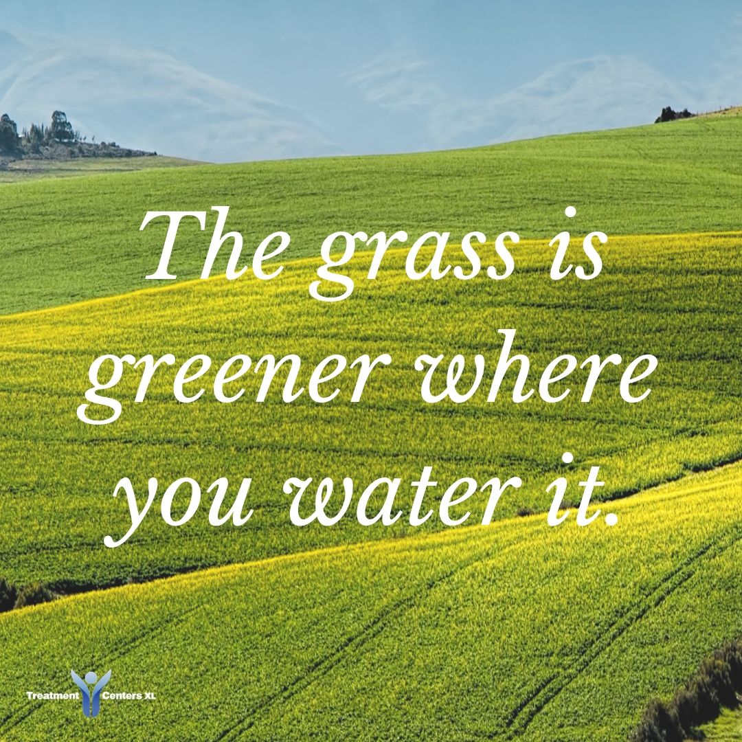 CentersXl's tweet photo. #TreatmentCentersXL #treatmentcenterslonetree #LoneTree #Denver #MedicallyAssistedWithdraws #DrugRehab #Drugs #DrugRehabCenters #Addicts #Addiction #AddictQuotes #Sobriety #12step #Sober #Family #SubstanceAbuse #MentalHealth #DrugAbuse #drugfree #Rehab #DUIClasses https://t.co/pbVM7vwskv