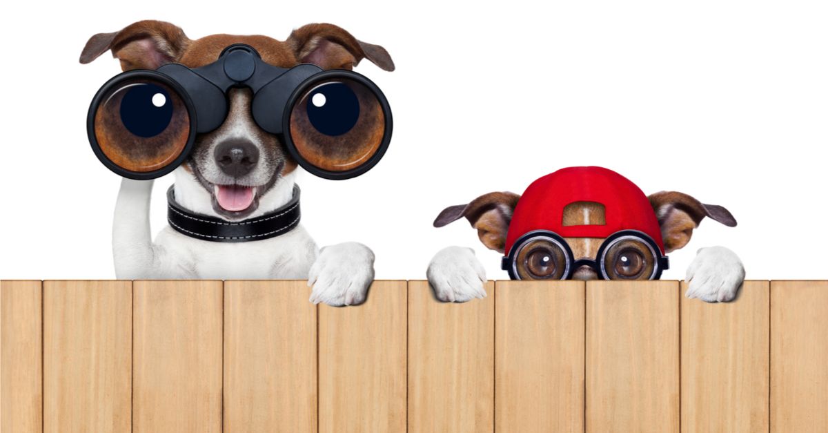 ZZP Tekstschrijver tweet media