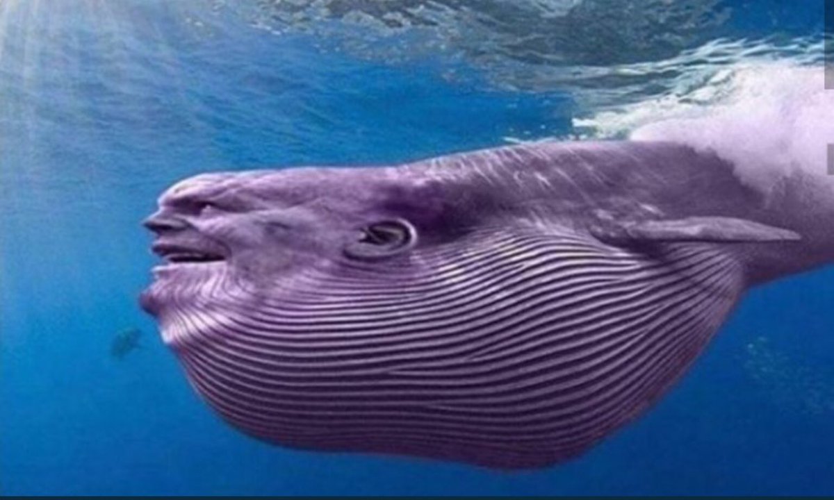 RealThanos_'s tweet image. keep all the retweets comments and LIKES EQUAL